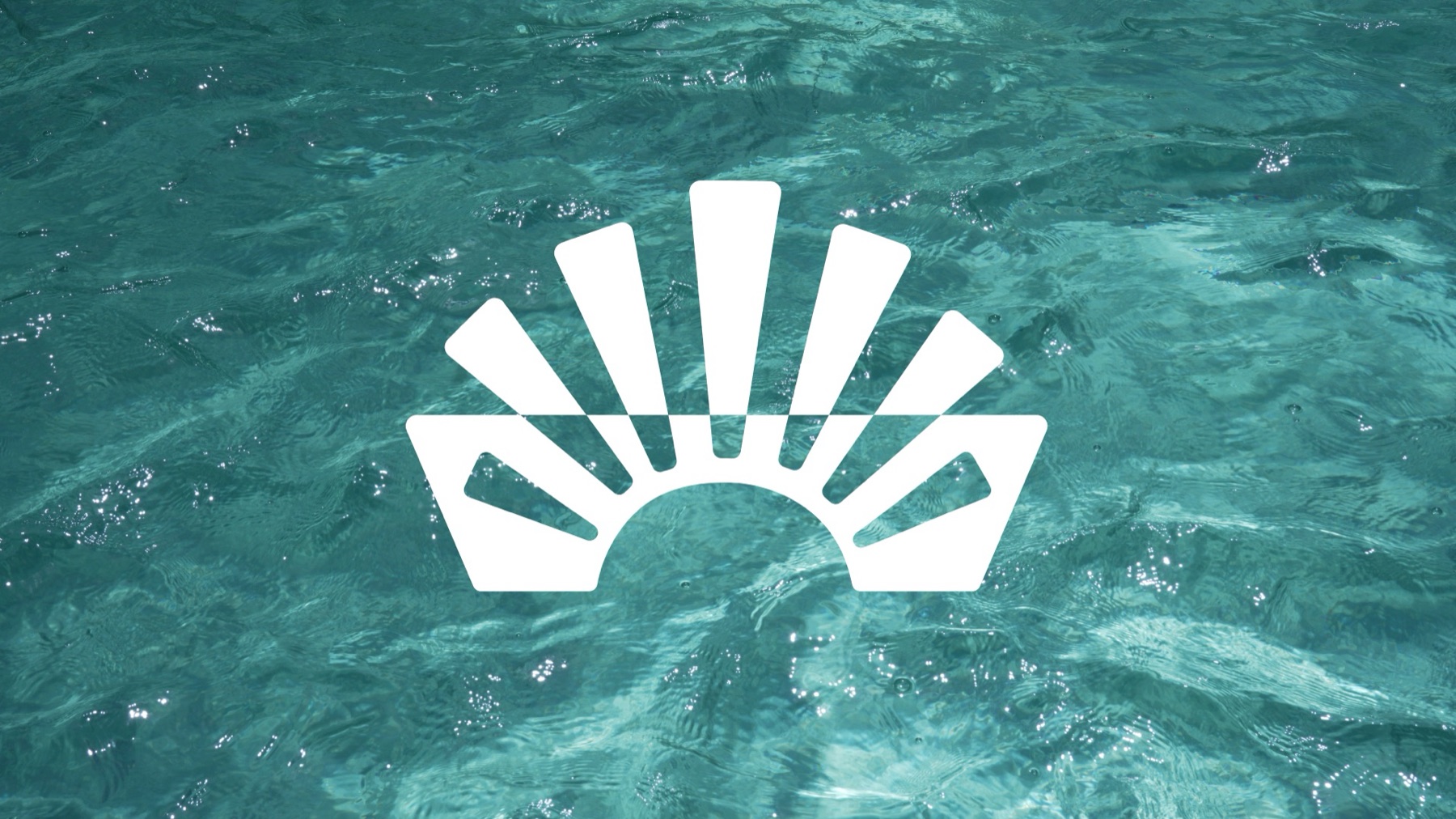 Purki's Sunshine Logo auf Wasser